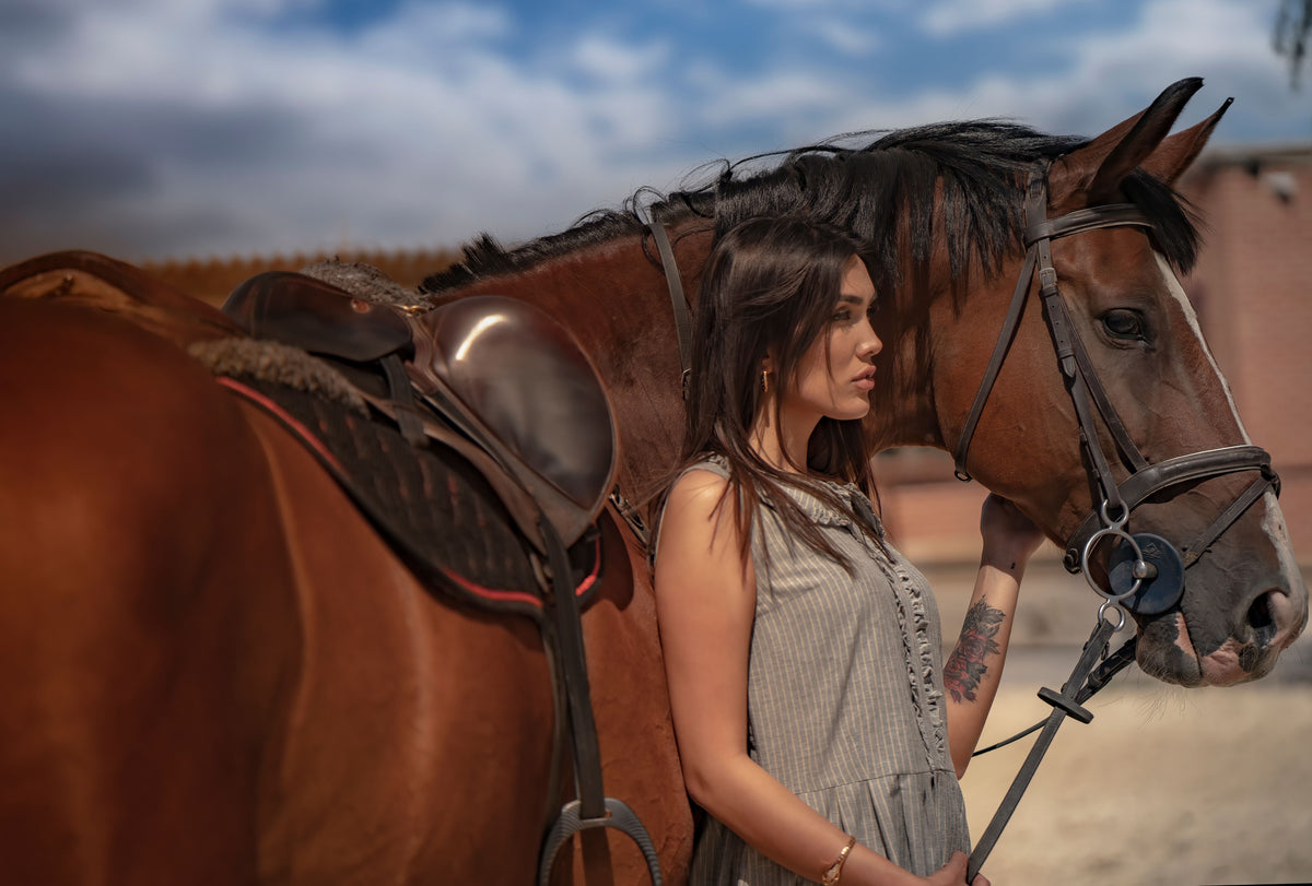 Equestrian leather saddle maintenance in Dubai heat and sandy conditions