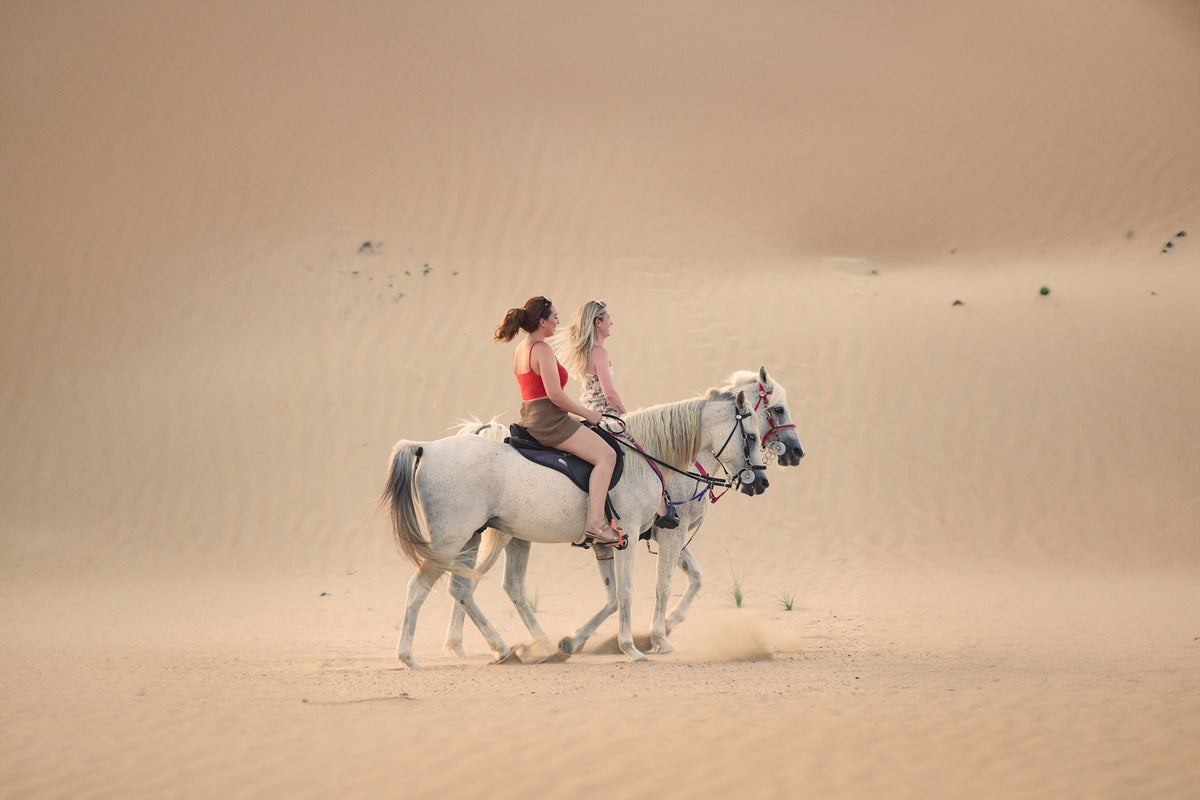 Horse being cooled down with water during summer heat in the UAE