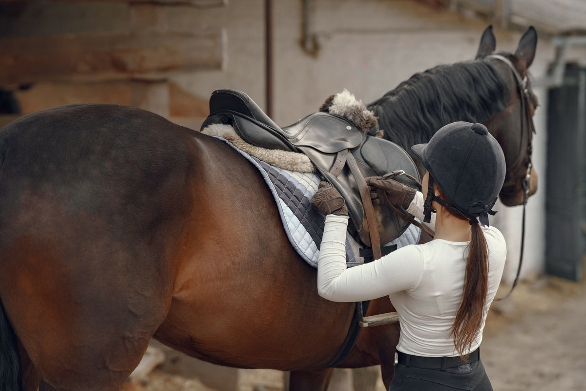 Equestrian leather saddle and synthetic bridle comparison for horse riding