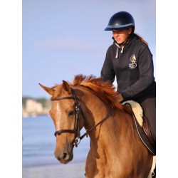 Rider Protections