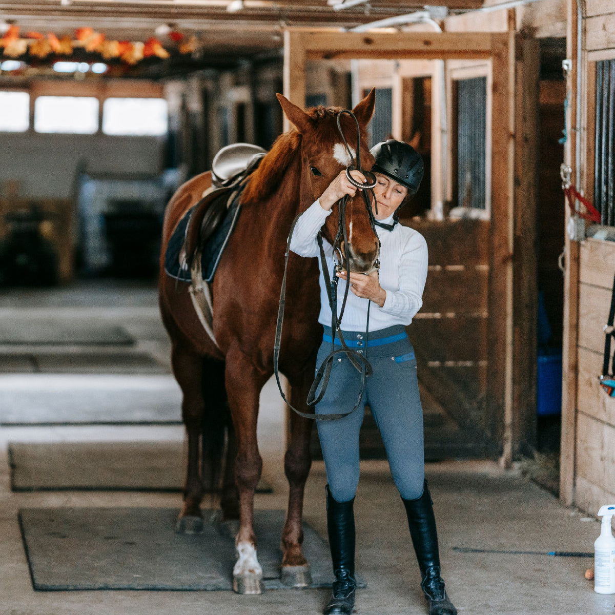 Stable