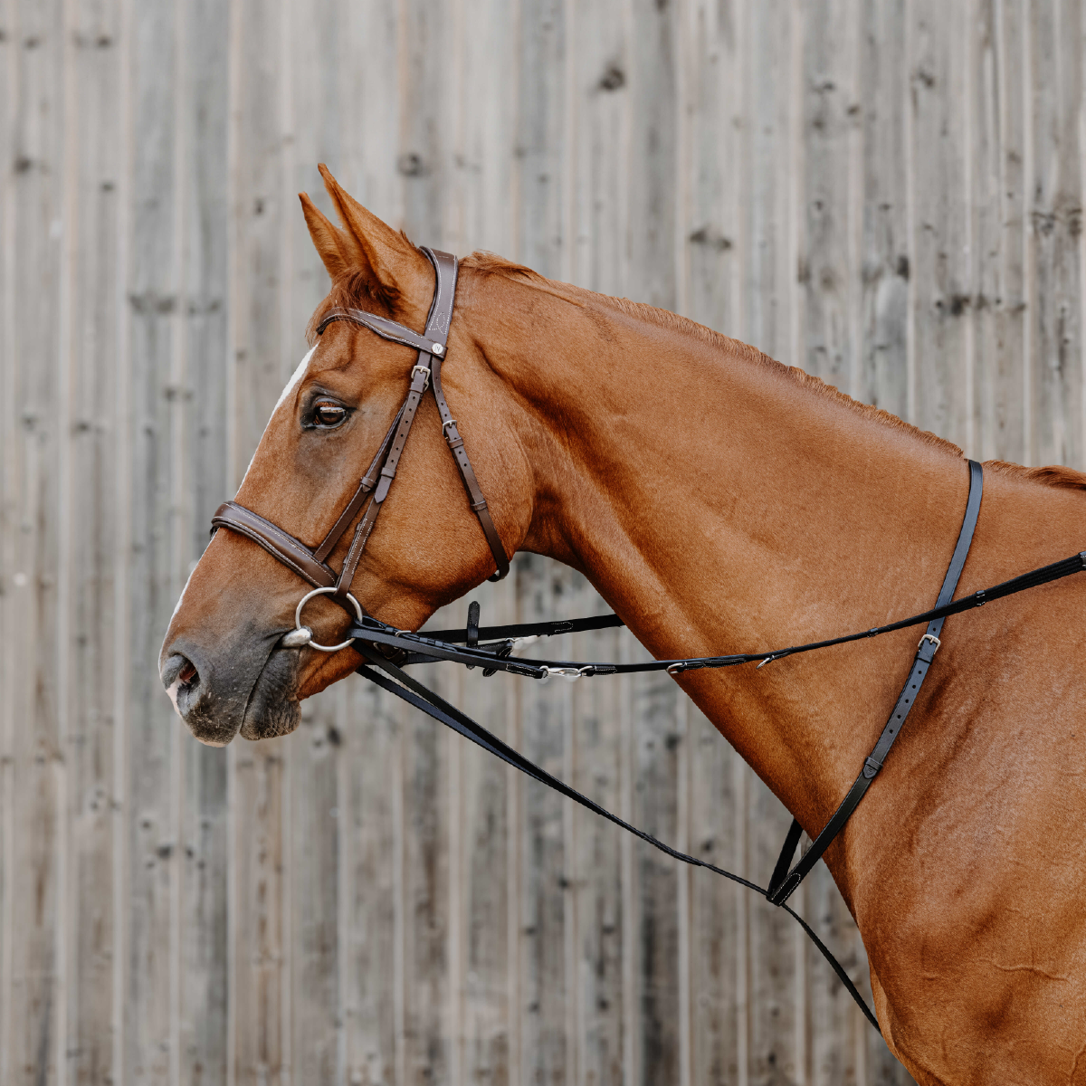 Reining