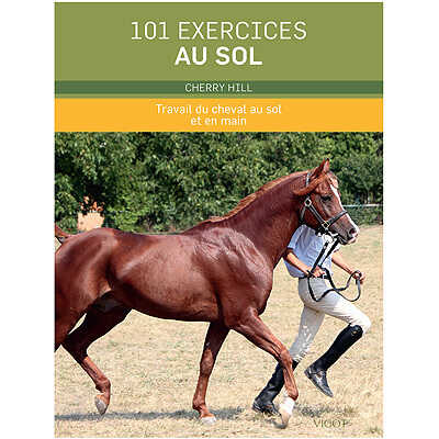 101 exercices au sol (french edition)