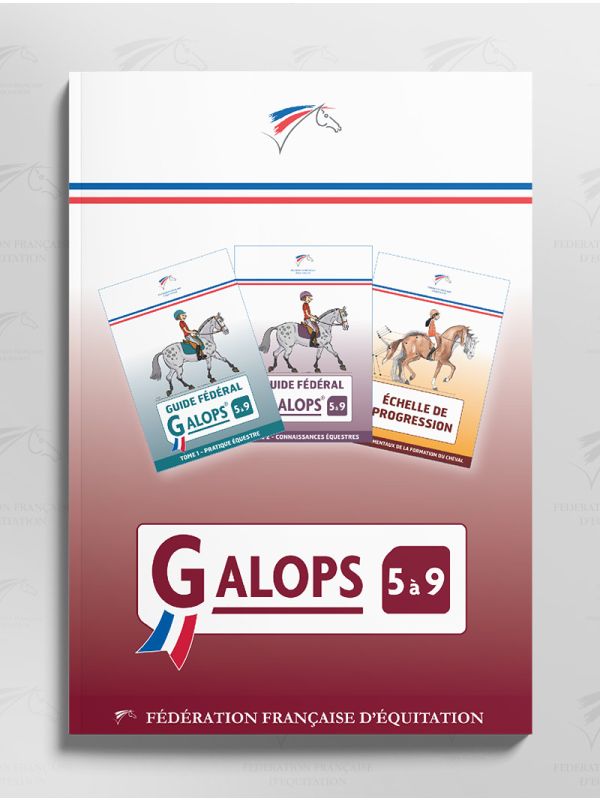 Guide Global 5 à 9 (French edition)