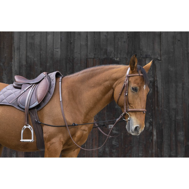 Chestnut horse wearing Norton adjustable elastic training aid under saddle – bilateral attachment to bit and girth at Ekkivibes