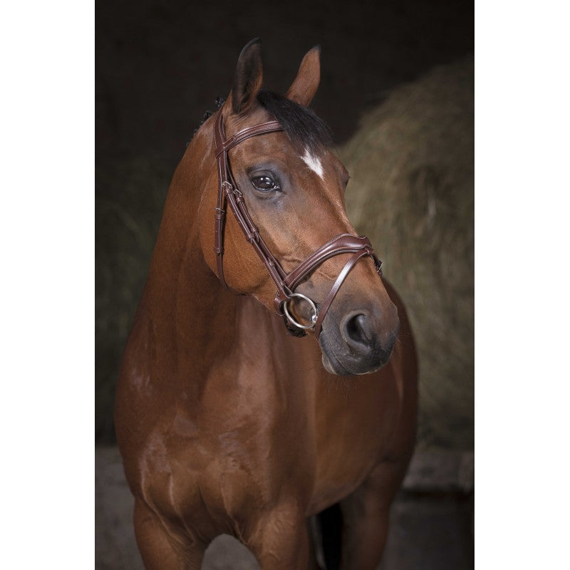 Grey horse wearing Norton Pro Vague black anatomical bridle with white stitching – buffalo leather horse bridle at Ekkivibes