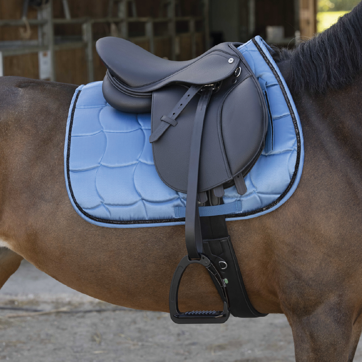 Norton Pro all-purpose saddle