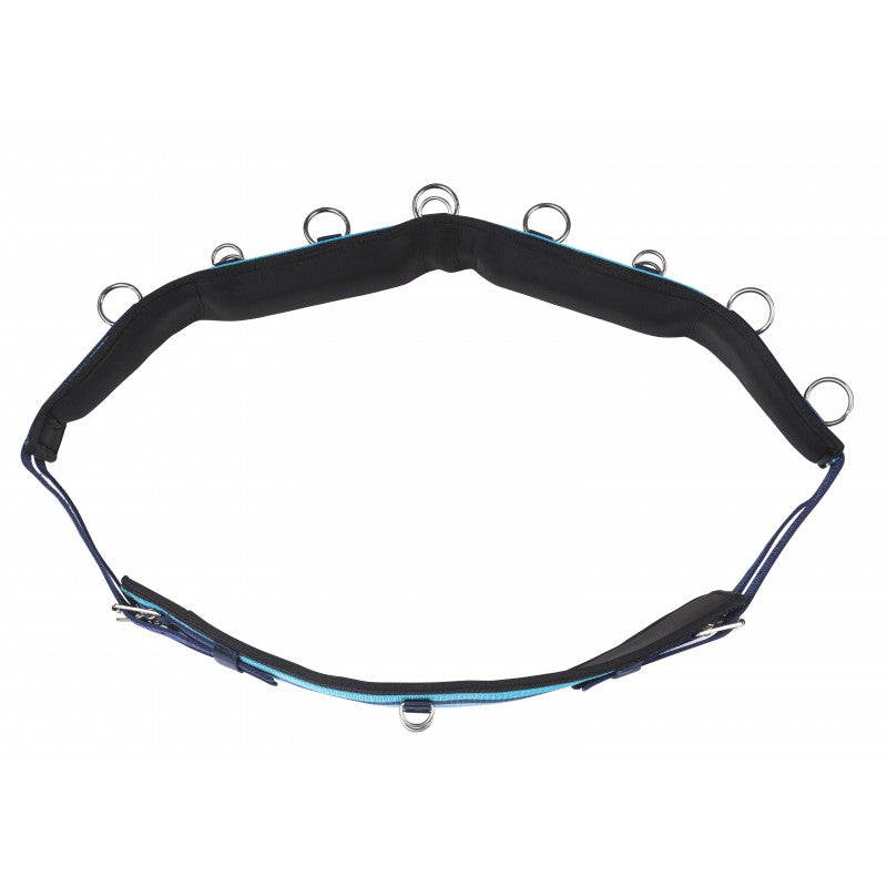Norton synthetic training surcingle top view – 15 rings for lungeing and long reining by Norton at Ekkivibes