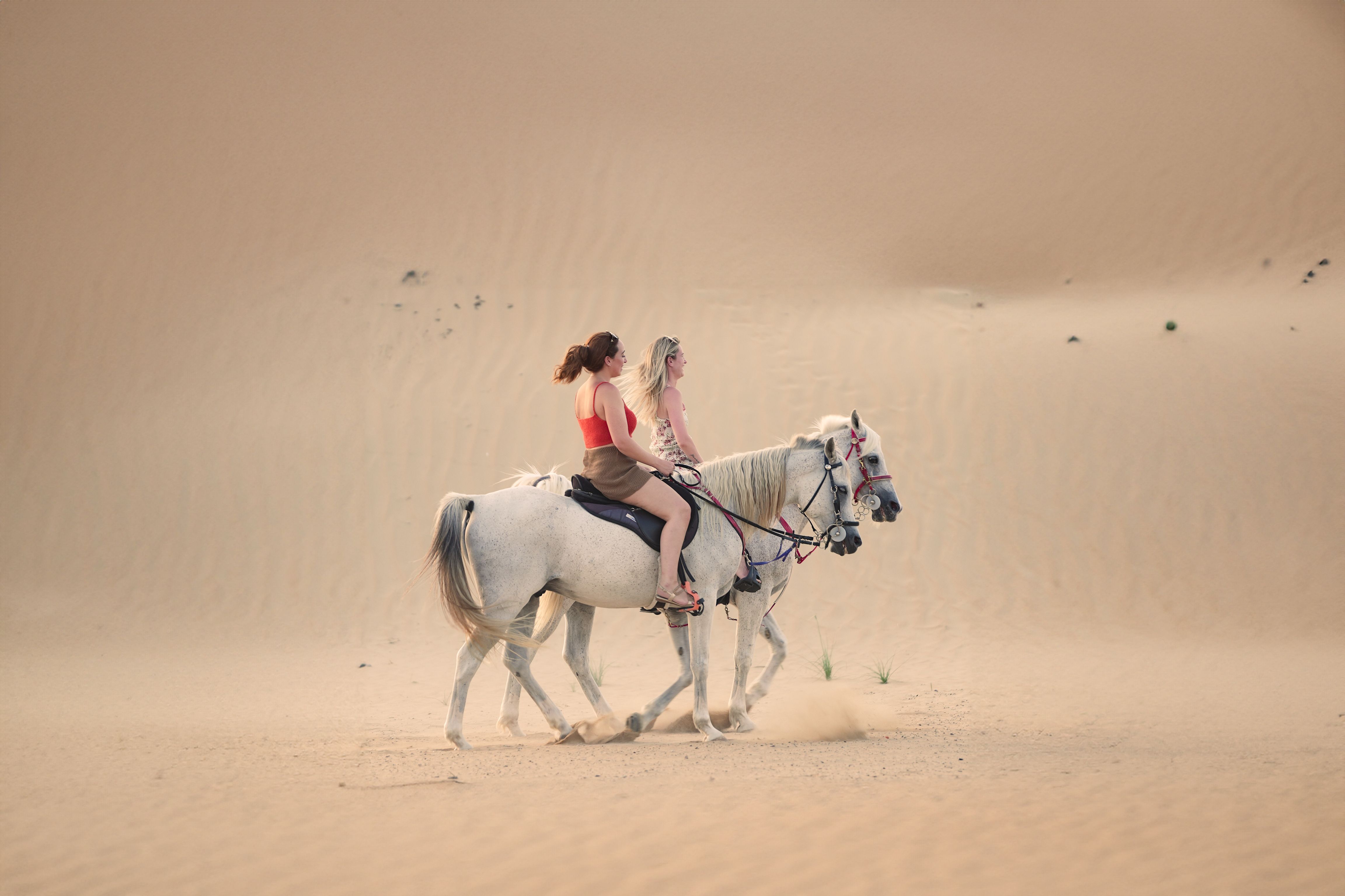 How to help your horse endure the heat in summer: the right gestures for its well-being