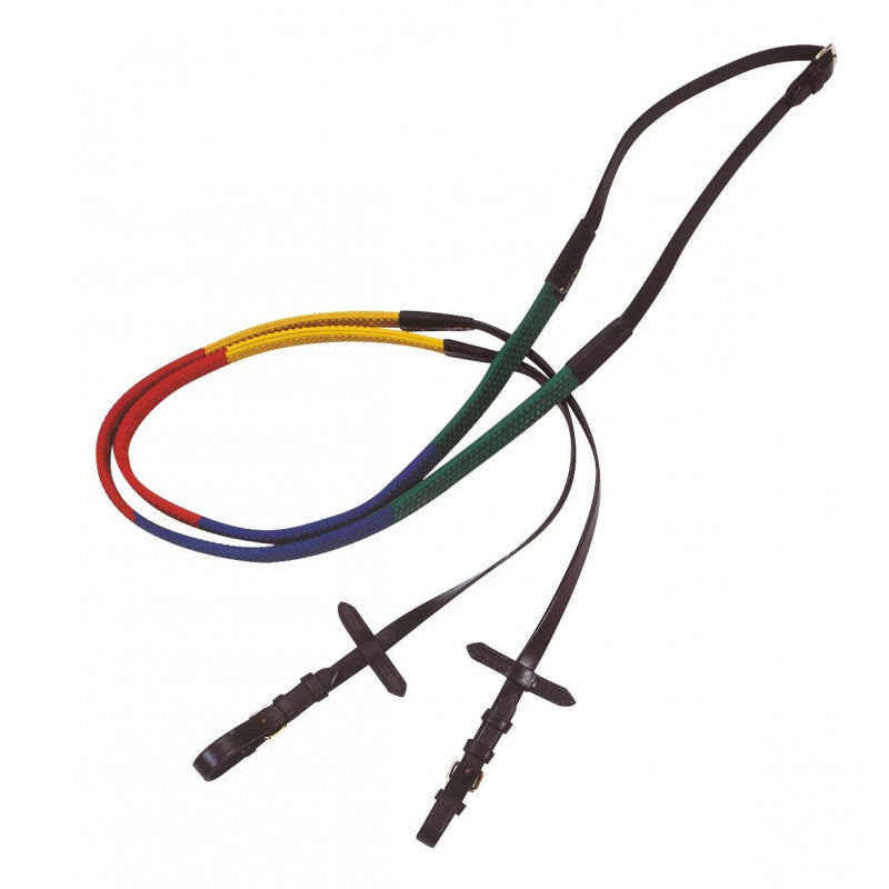 Multicolored Training Reins