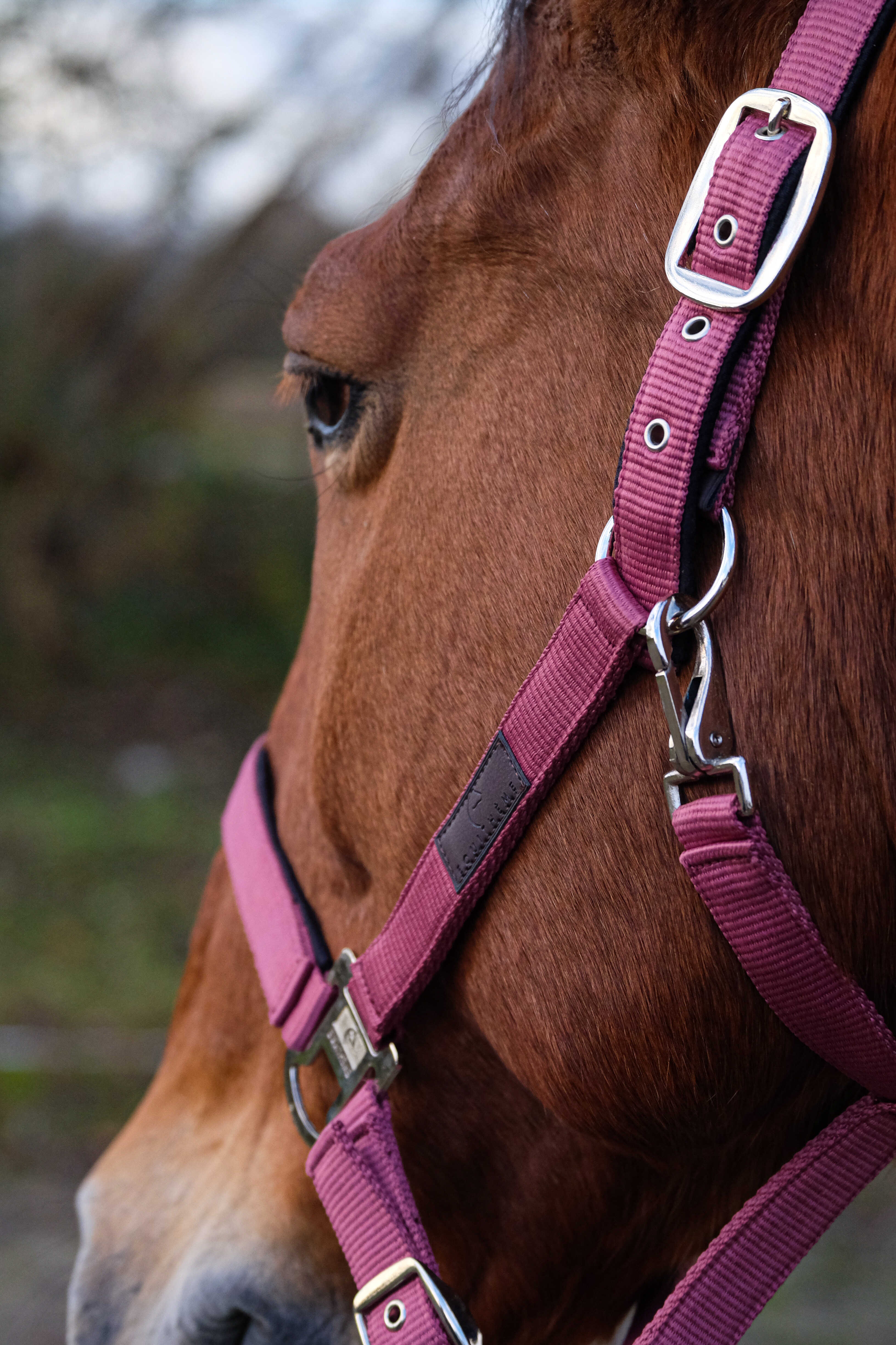 Spring Nylon Halter