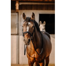 Anatomical Aniline Leather Bridle – Elegance & Comfort