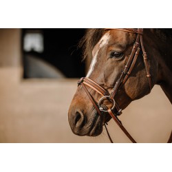Anatomical Aniline Leather Bridle – Elegance & Comfort