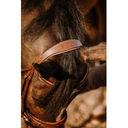 Anatomical Aniline Leather Bridle – Elegance & Comfort