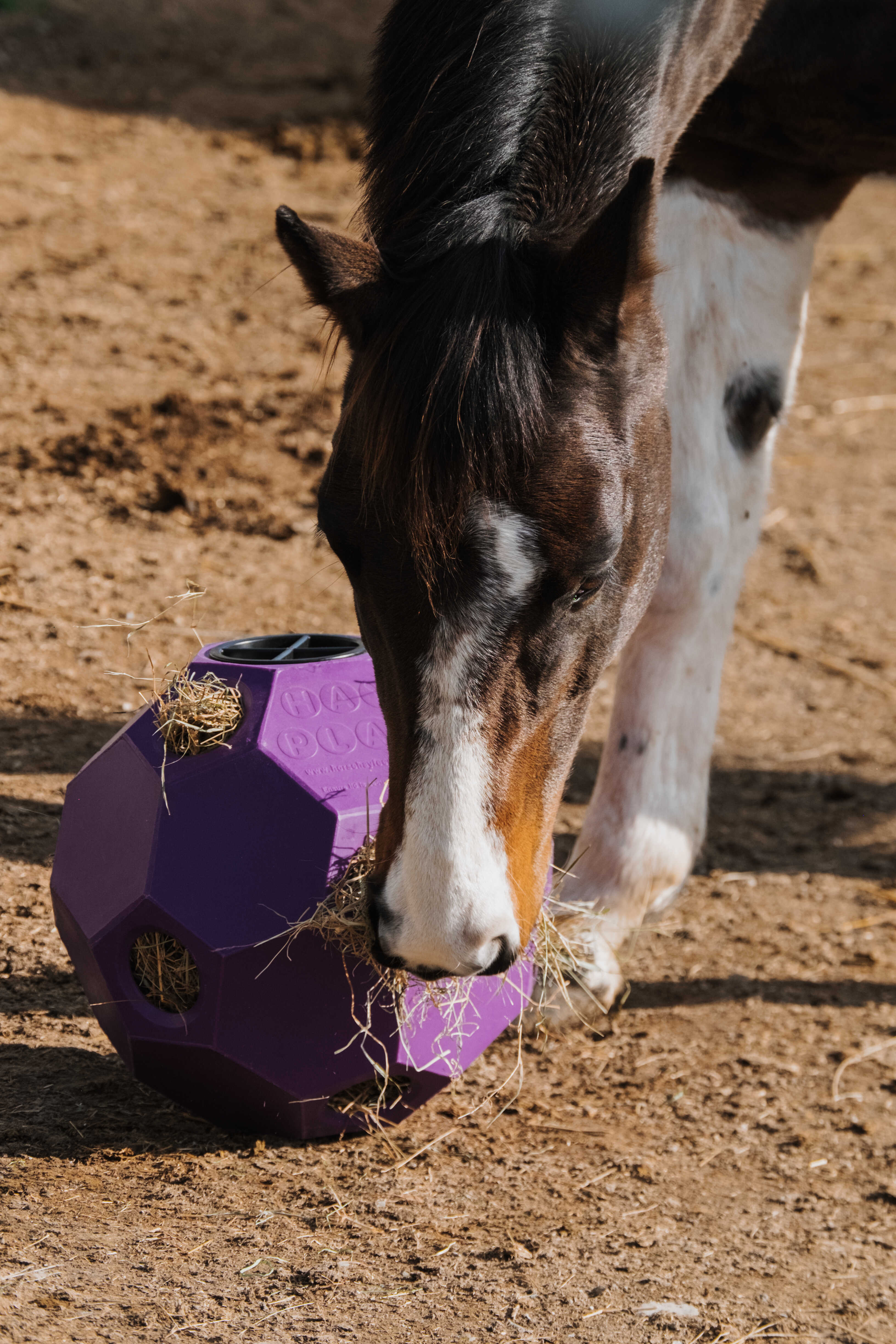 Hay ball - Slow feeder ball