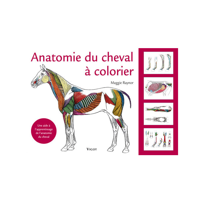 Anatomie du cheval à colorier (french edition)