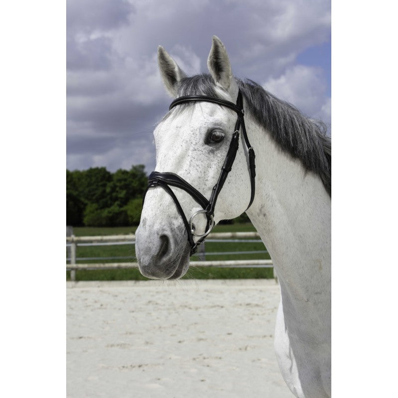 Grey horse wearing Norton Pro Vague black anatomical bridle with white stitching – buffalo leather horse bridle at Ekkivibes