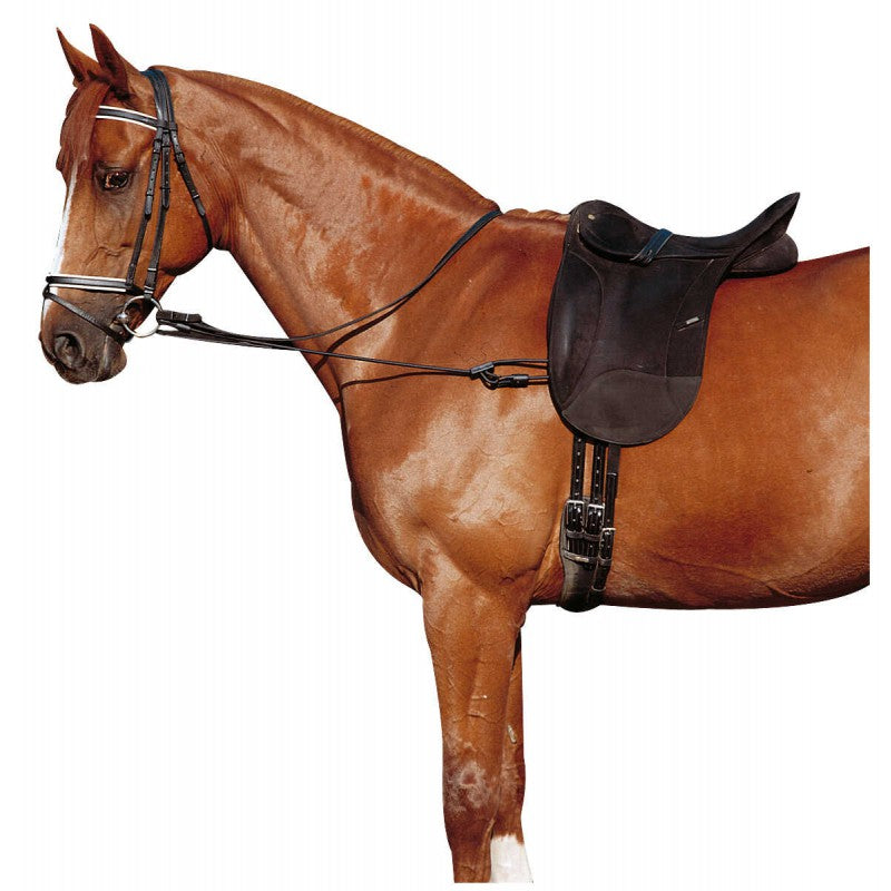 Chestnut horse wearing Norton adjustable elastic training aid under saddle – bilateral attachment to bit and girth at Ekkivibes