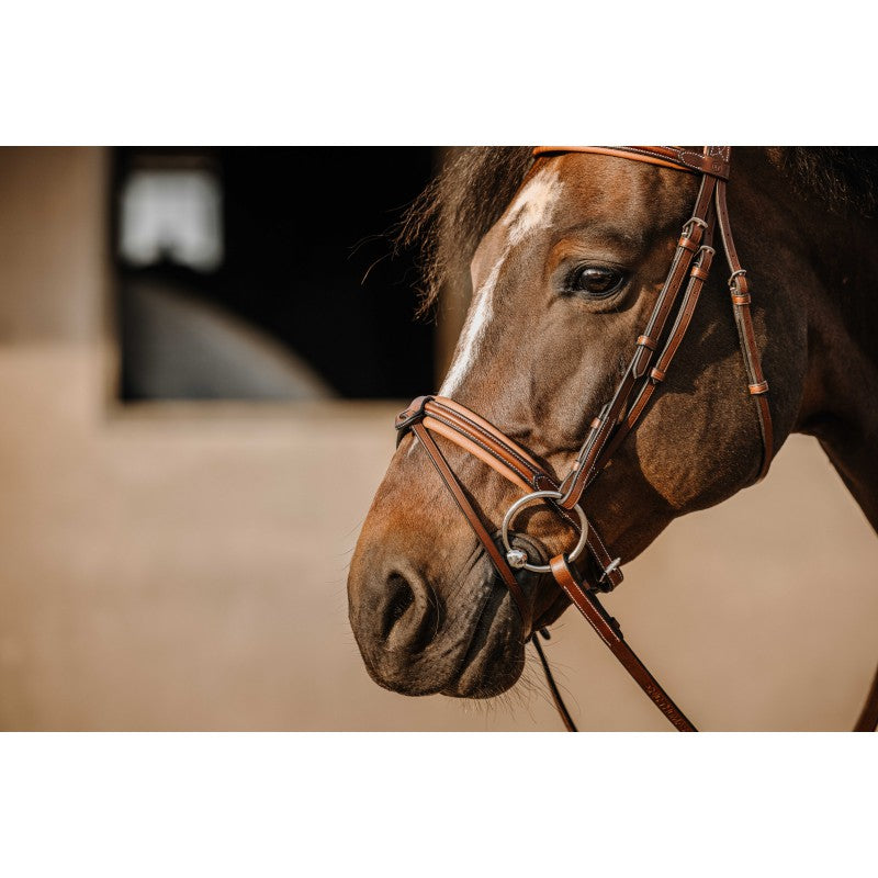 Close-up of dark bay horse wearing Eric Thomas brown anatomical bridle – Clarino-lined noseband detail at Ekkivibes