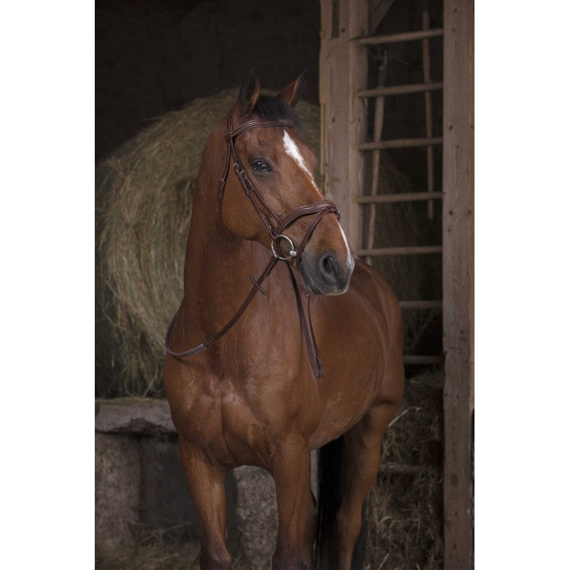 Chestnut horse wearing Norton Pro havane rubber reins with bridle in stable – equestrian lifestyle at Ekkivibes